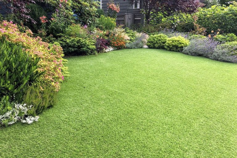 garden-patio-3-768x512 garden-patio-3-768x512
